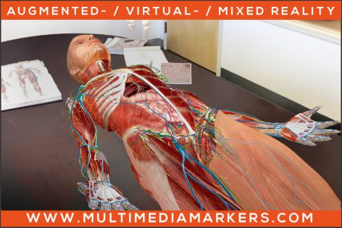 Anatomie in AR
